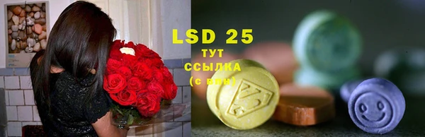 PSILOCYBIN Арсеньев
