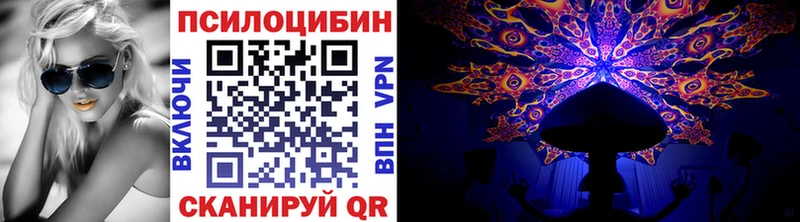 Псилоцибиновые грибы Cubensis  Мензелинск 